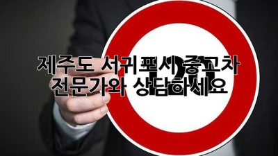 제주도 서귀포시 중고차 전문가와 상담하세요!